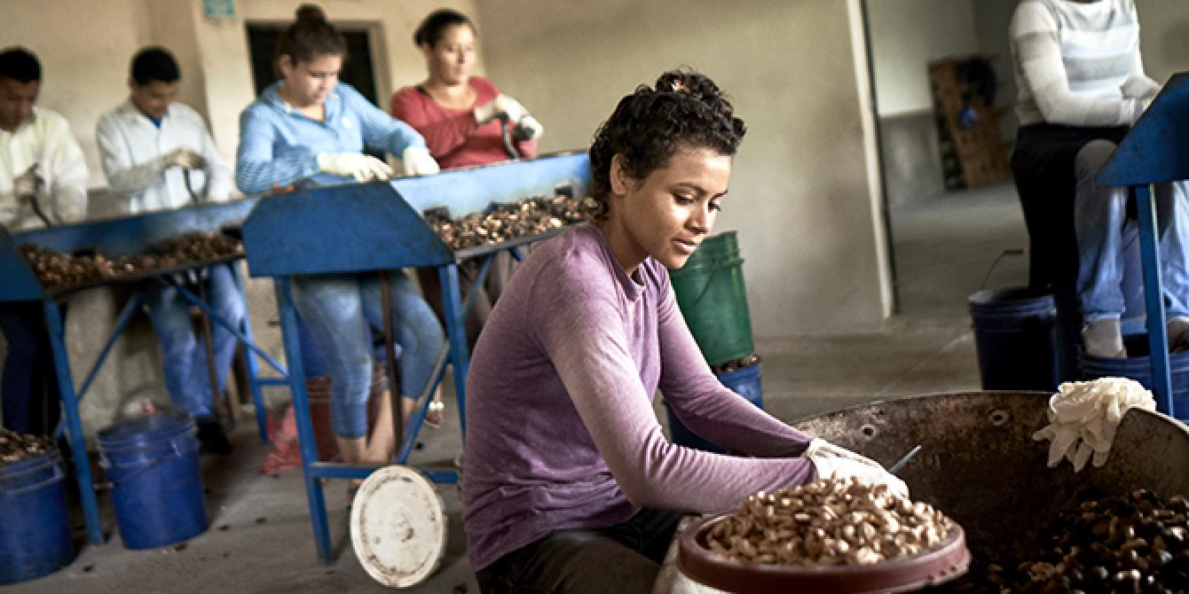 Mujeres y jóvenes, productores de marañón, son nuestros principales beneficiarios del Programa EDP en Choluteca, Honduras. Foto: Eleanor Farmer / Oxfam en Honduras